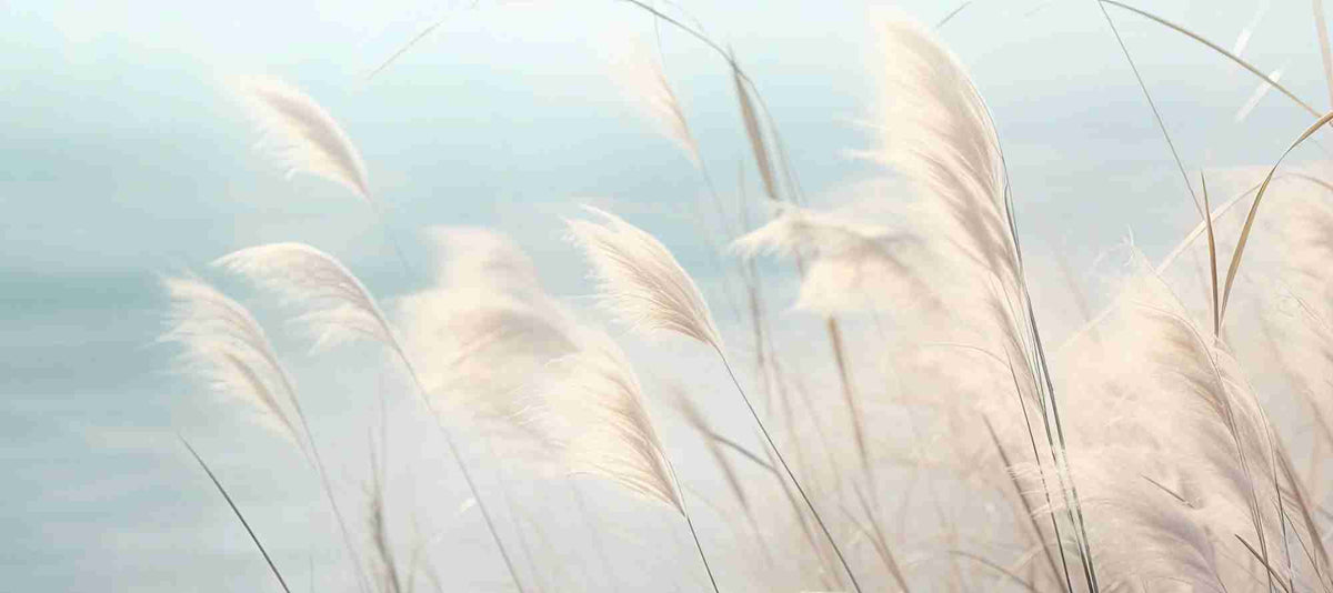Herbes Sauvages - Panoramique mural - Illulart: Papier peint panoramique