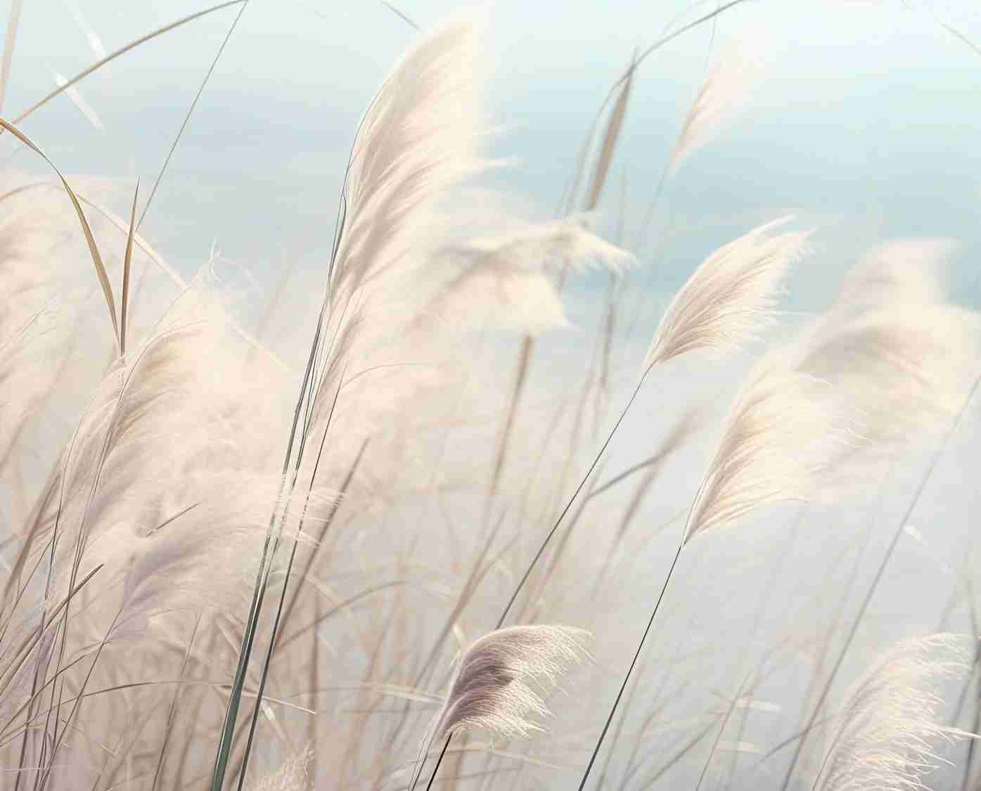 Herbes Sauvages - Panoramique mural - Illulart: Papier peint panoramique