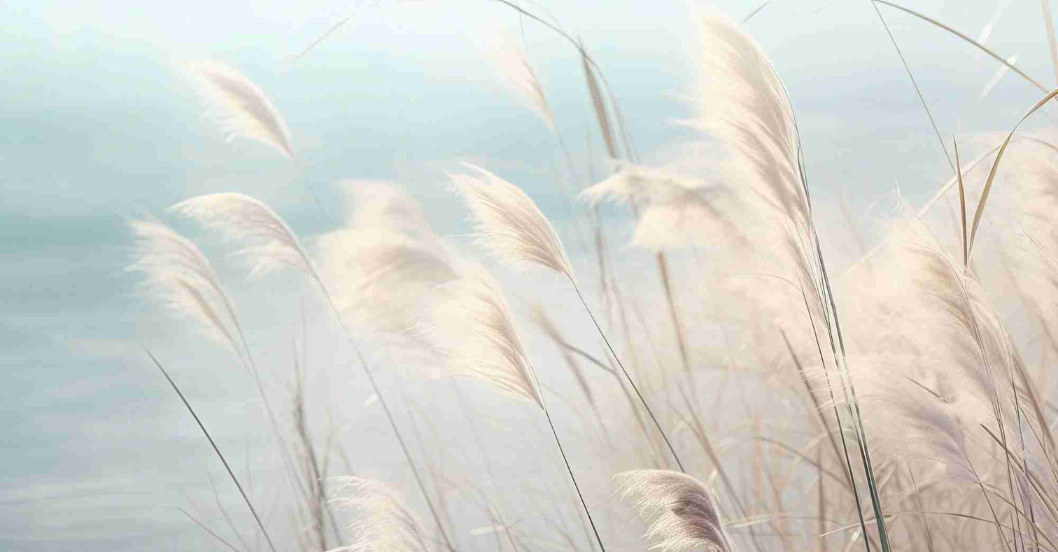 Herbes Sauvages - Panoramique mural - Illulart: Papier peint panoramique