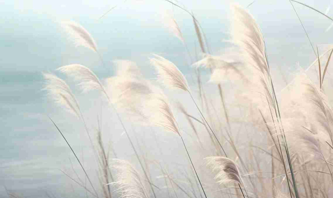 Herbes Sauvages - Panoramique mural - Illulart: Papier peint panoramique