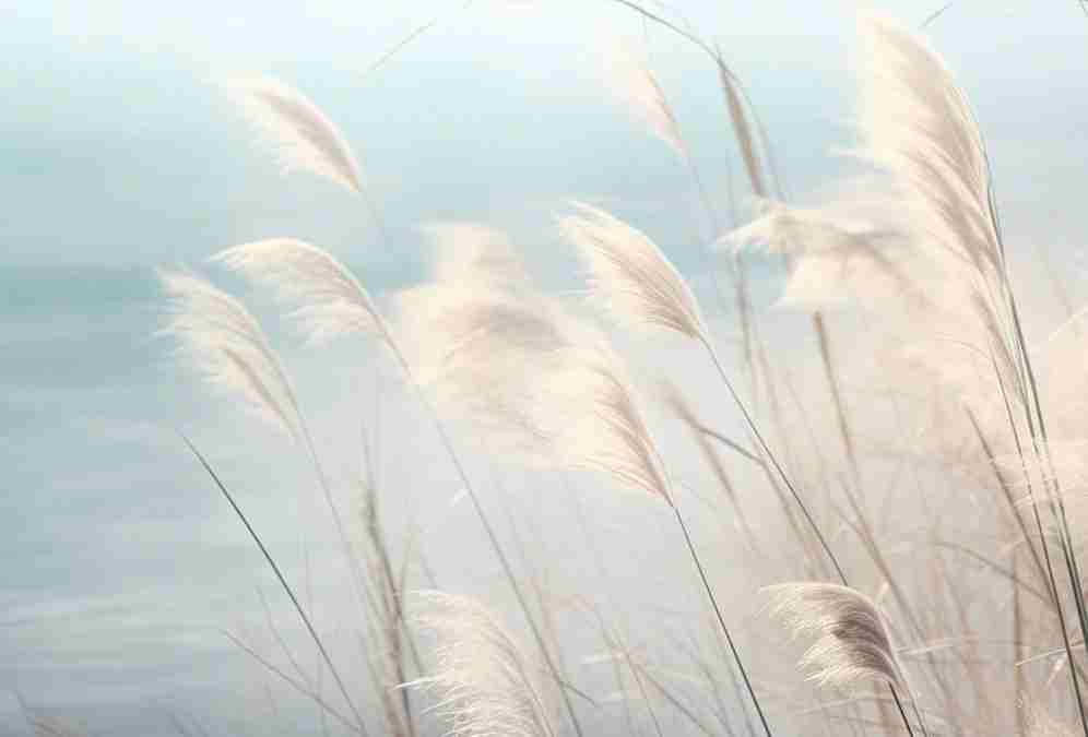 Herbes Sauvages - Panoramique mural - Illulart: Papier peint panoramique