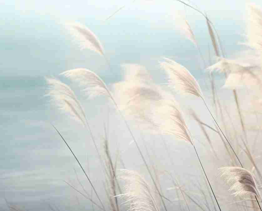 Herbes Sauvages - Panoramique mural - Illulart: Papier peint panoramique