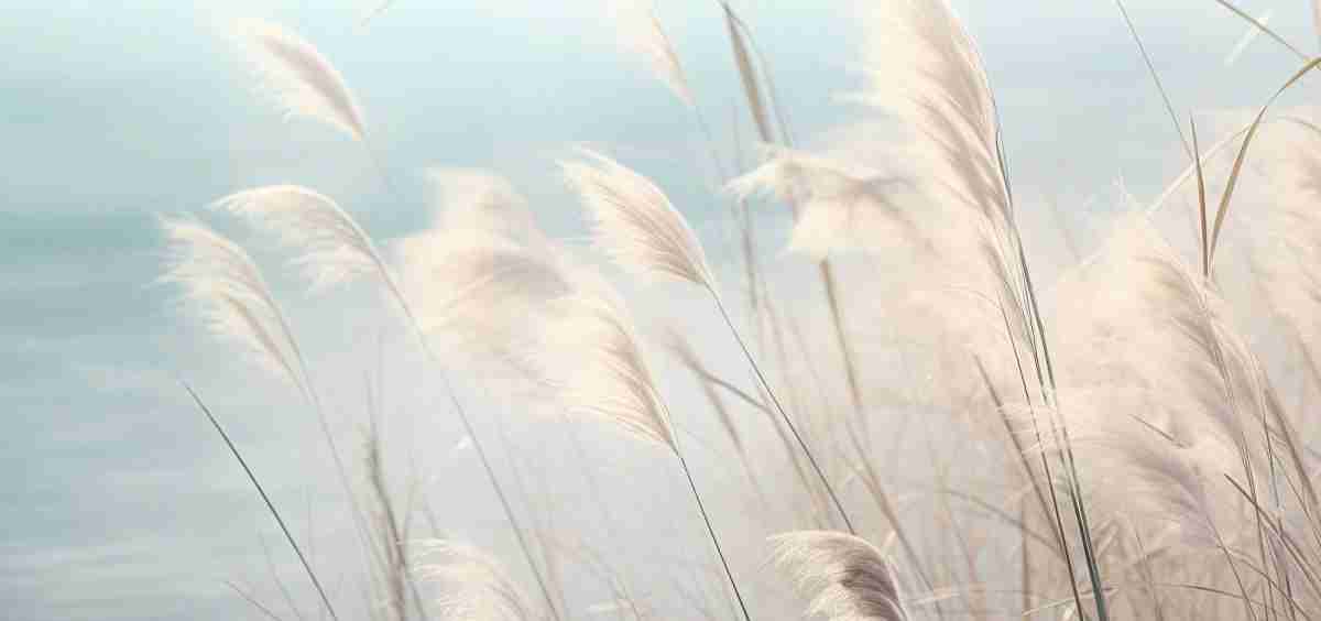 Herbes Sauvages - Panoramique mural - Illulart: Papier peint panoramique