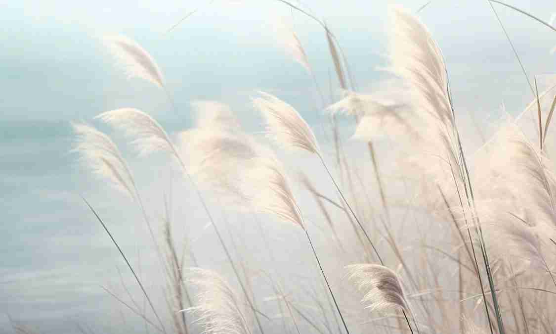 Herbes Sauvages - Panoramique mural - Illulart: Papier peint panoramique