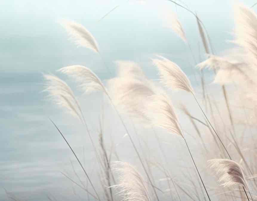 Herbes Sauvages - Panoramique mural - Illulart: Papier peint panoramique