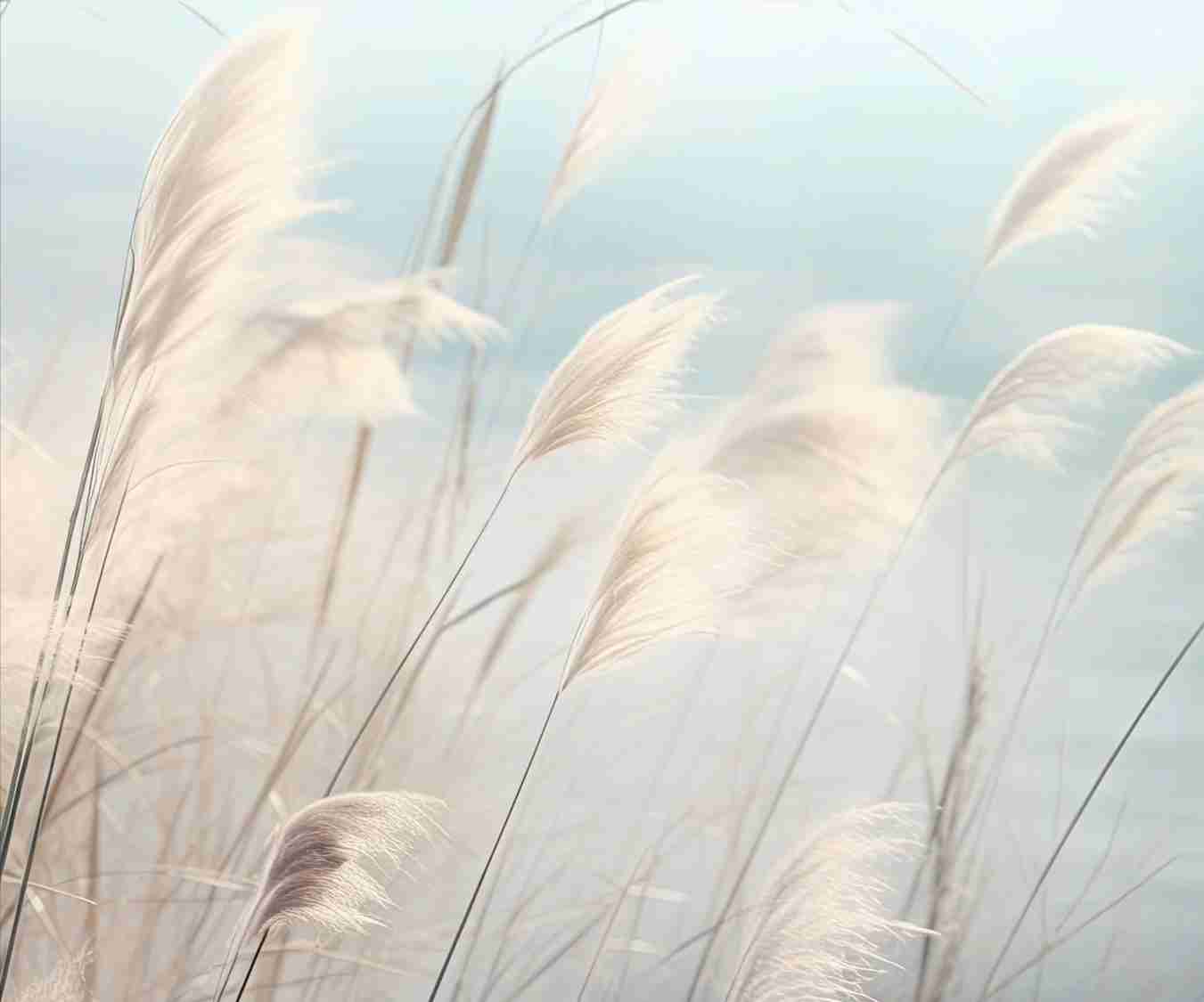 Herbes Sauvages - Panoramique mural