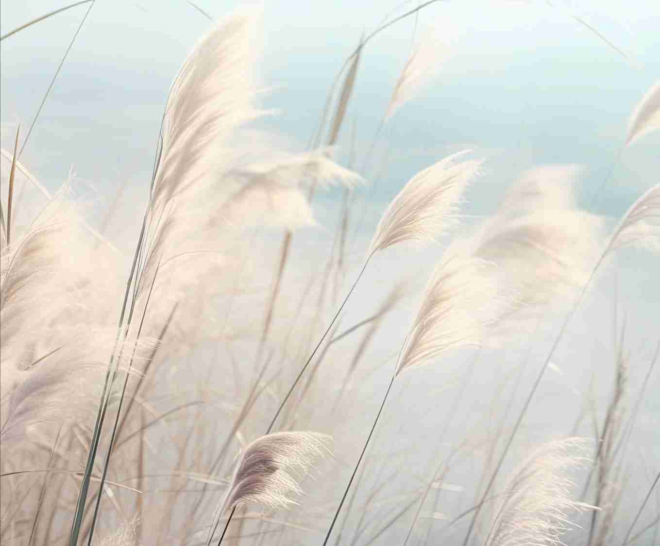 Herbes Sauvages - Panoramique mural - Illulart: Papier peint panoramique