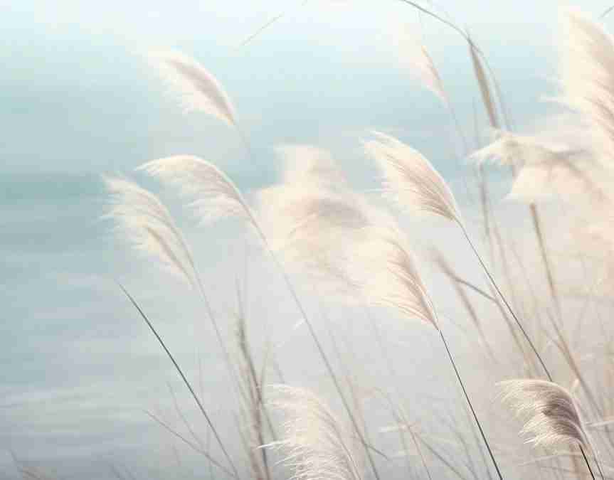 Herbes Sauvages - Panoramique mural - Illulart: Papier peint panoramique