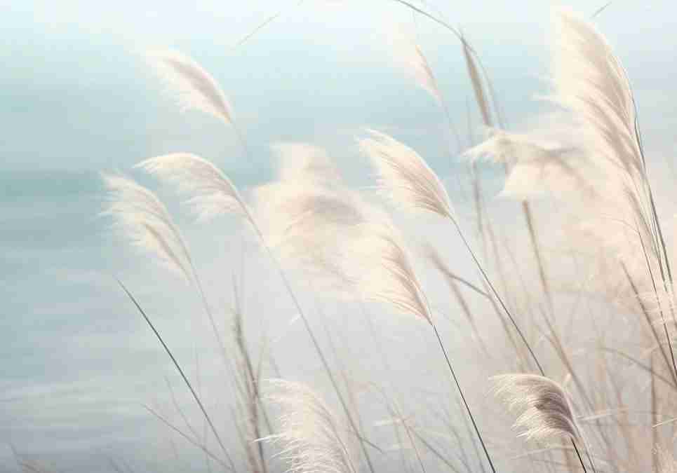 Herbes Sauvages - Panoramique mural - Illulart: Papier peint panoramique