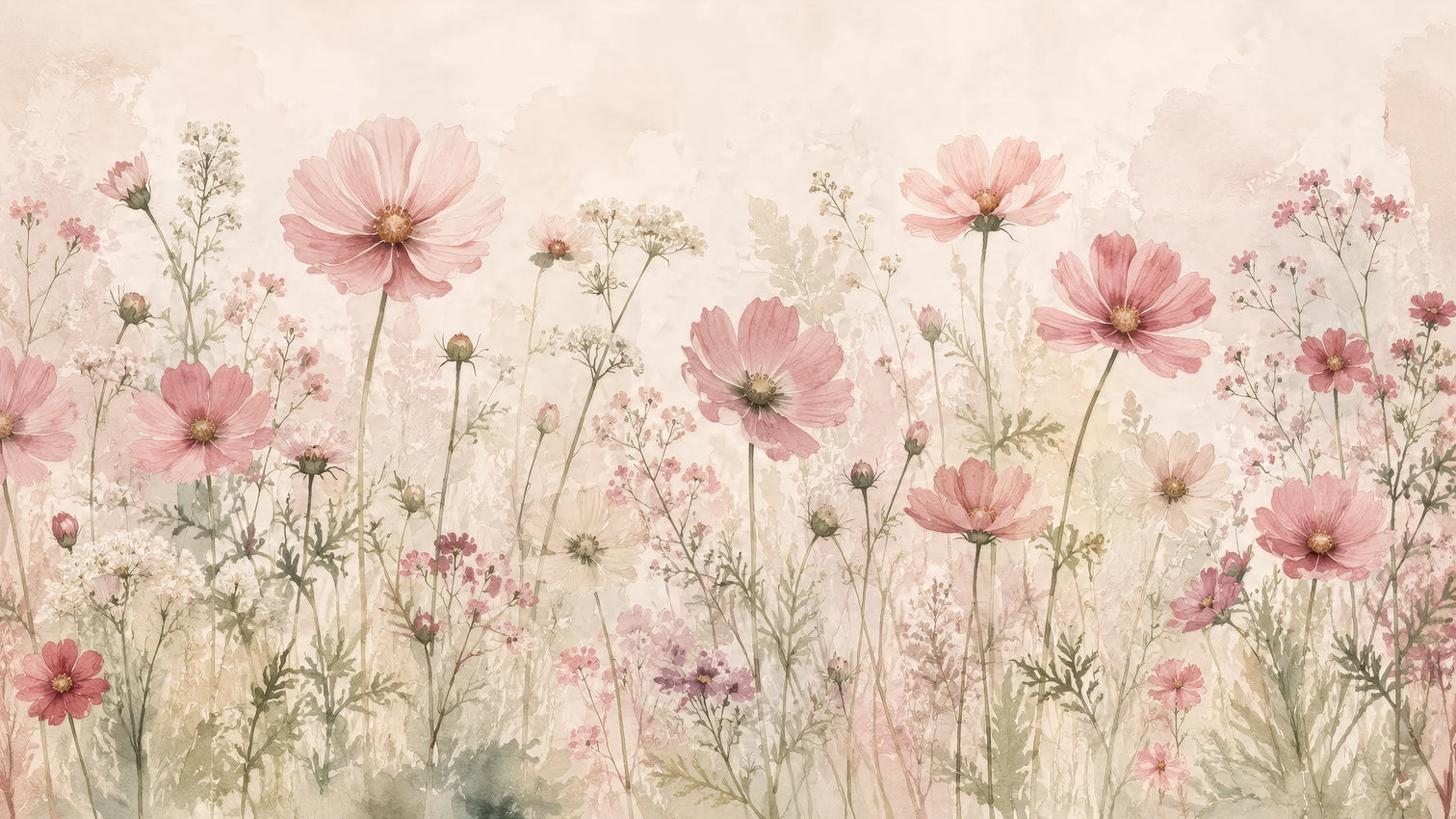 Giardino di cosmos