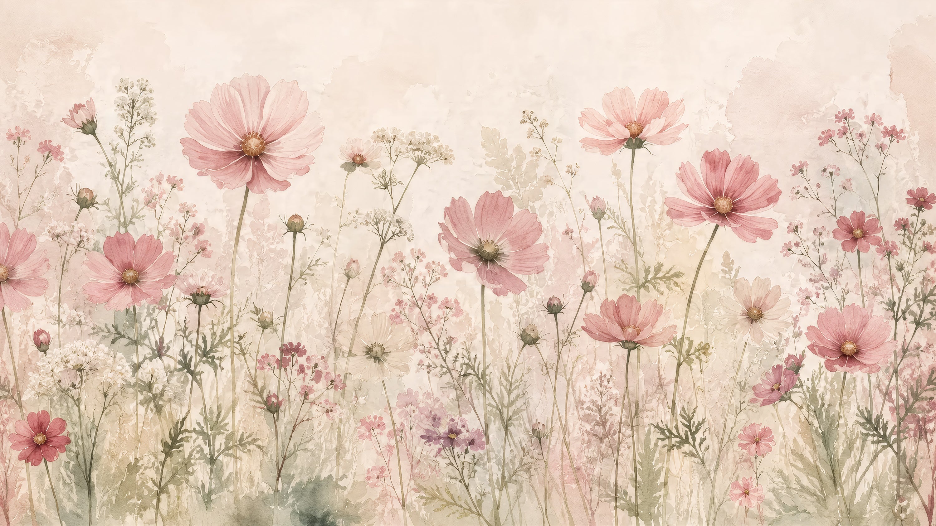 Cosmos tuin