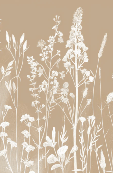 Jardin secret Terracotta - Illulart: Papier peint panoramique