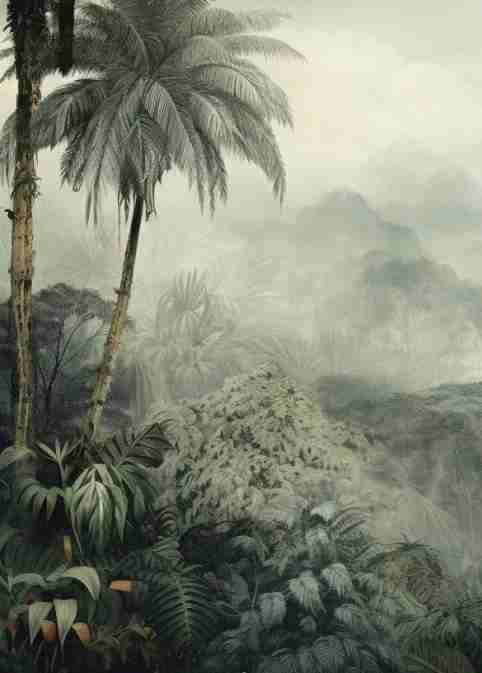 Jungle tropicale brumeuse - Illulart: Papier peint panoramique