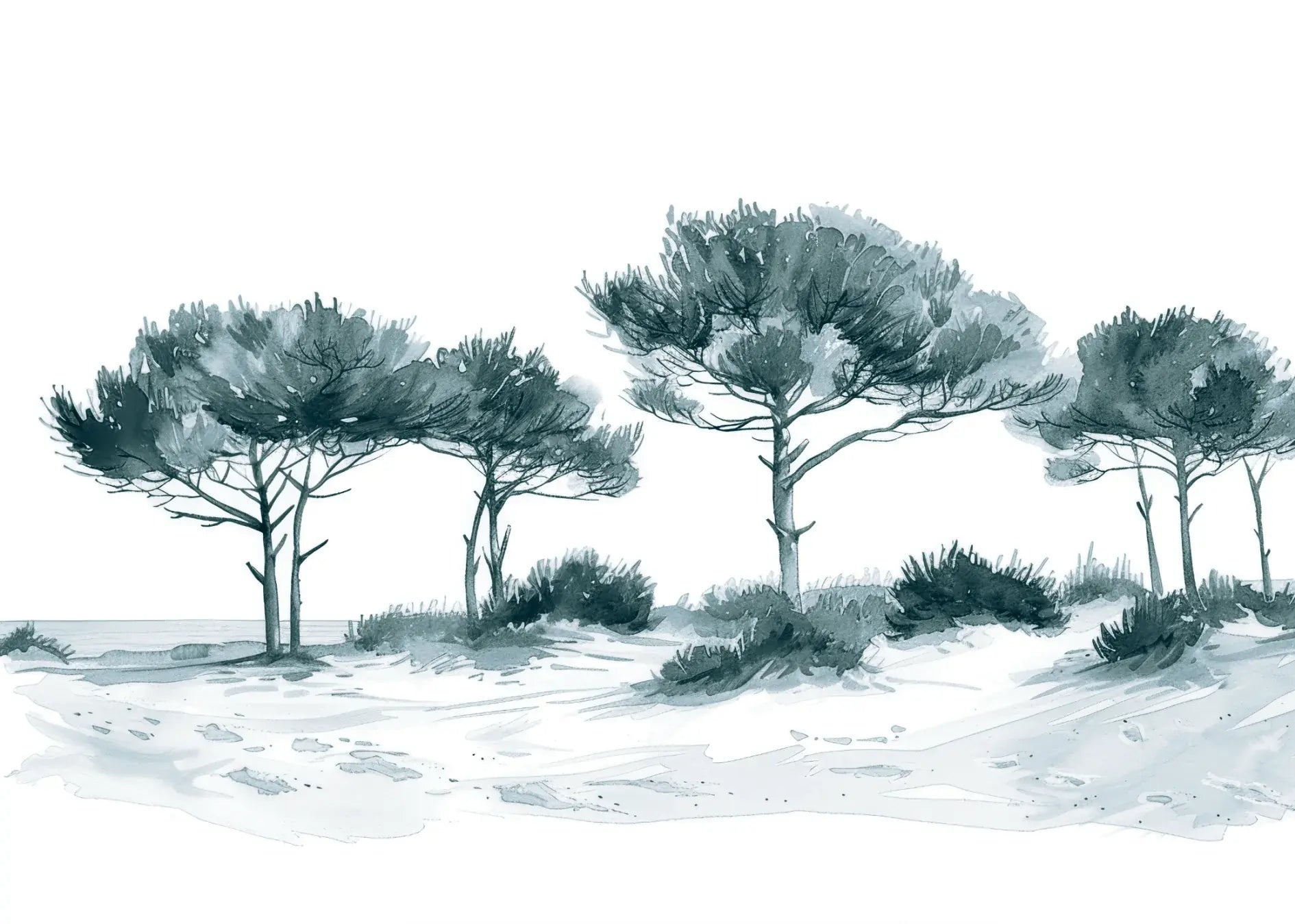 Les Pins de la Plage : Bleu gris - Illulart: Papier peint panoramique