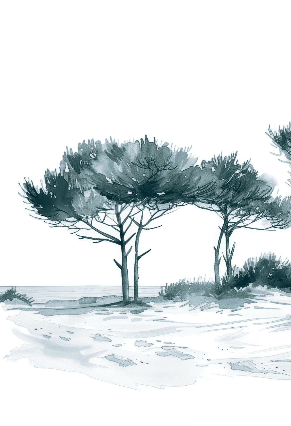 Les Pins de la Plage : Bleu gris - Illulart: Papier peint panoramique