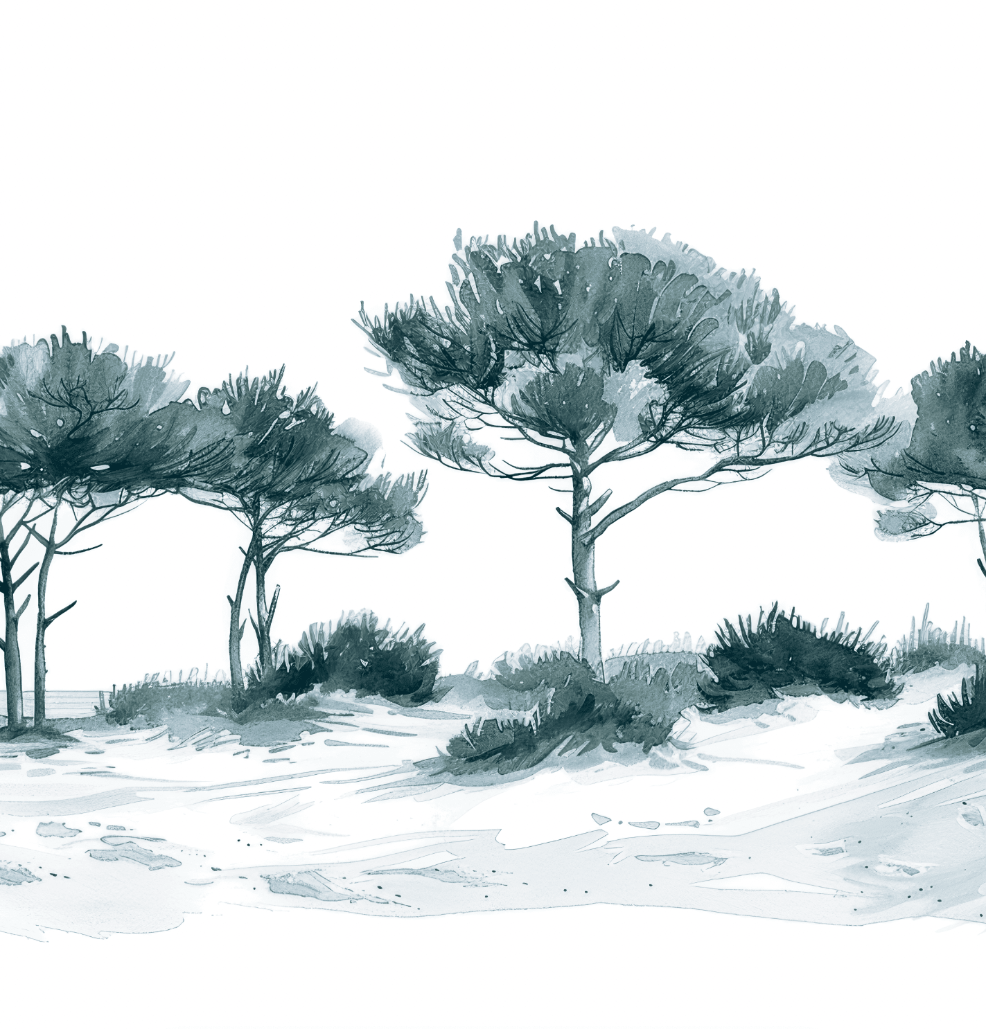 Les Pins de la Plage : Bleu gris - Illulart: Papier peint panoramique