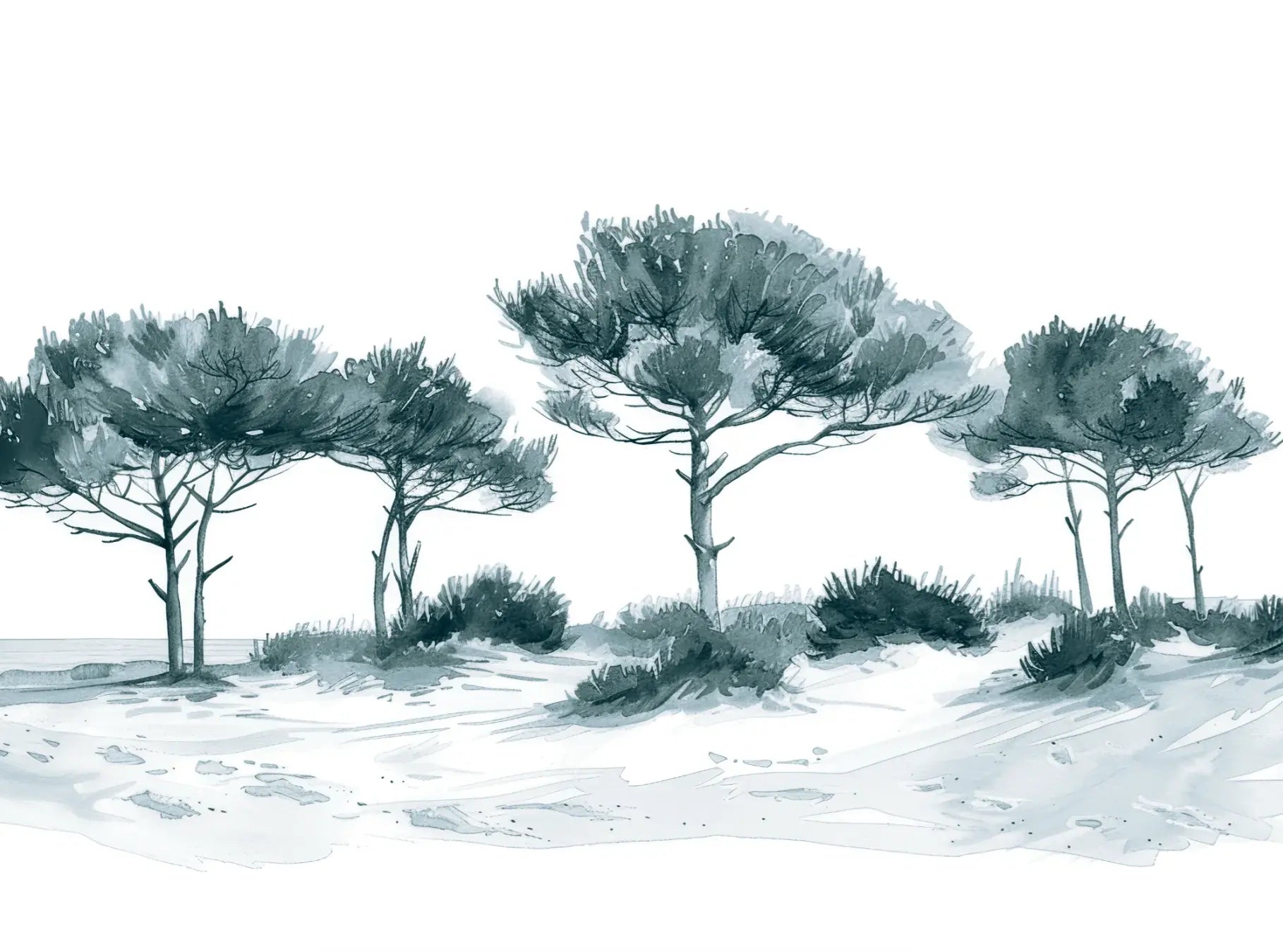 Les Pins de la Plage : Bleu gris - Illulart: Papier peint panoramique