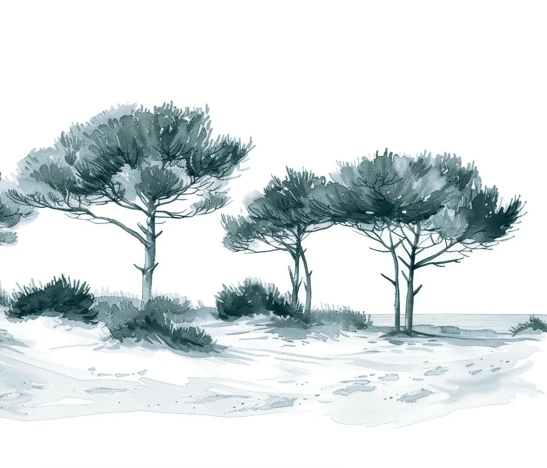 Les Pins de la Plage : Bleu gris - Illulart: Papier peint panoramique