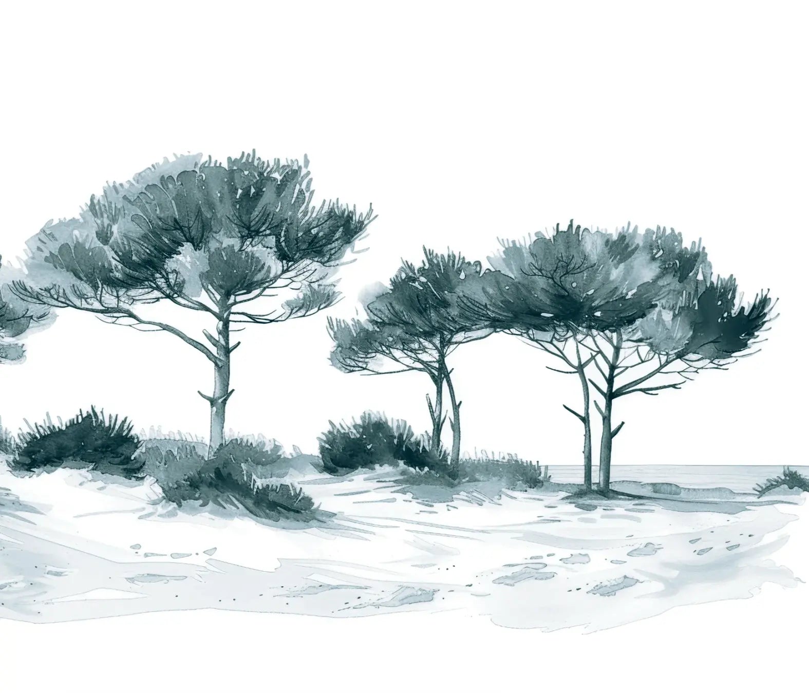 Les Pins de la Plage : Bleu gris - Illulart: Papier peint panoramique