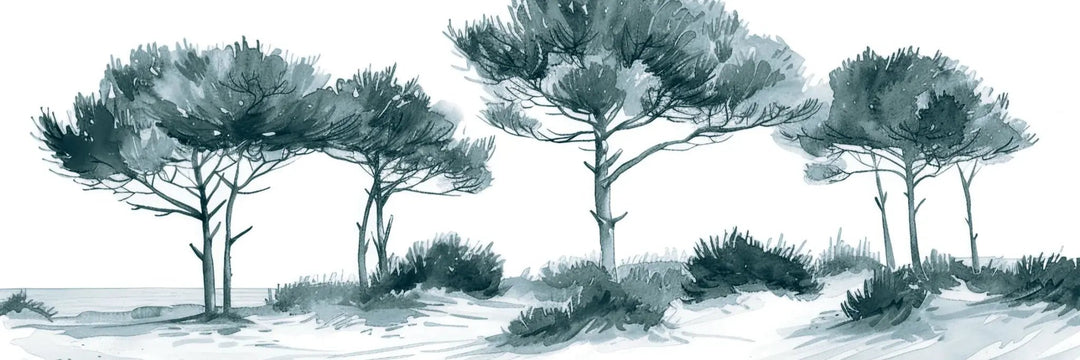 Les Pins de la Plage : Bleu gris - Illulart: Papier peint panoramique