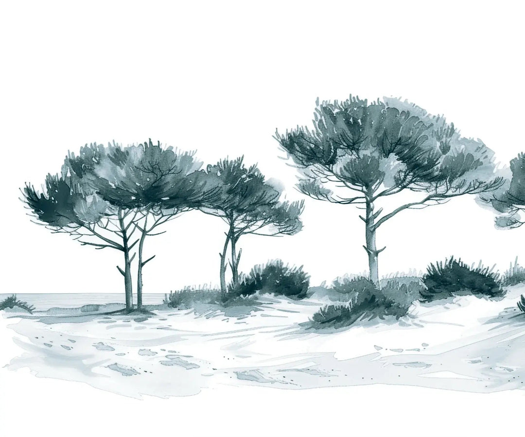 Les Pins de la Plage : Bleu gris - Illulart: Papier peint panoramique