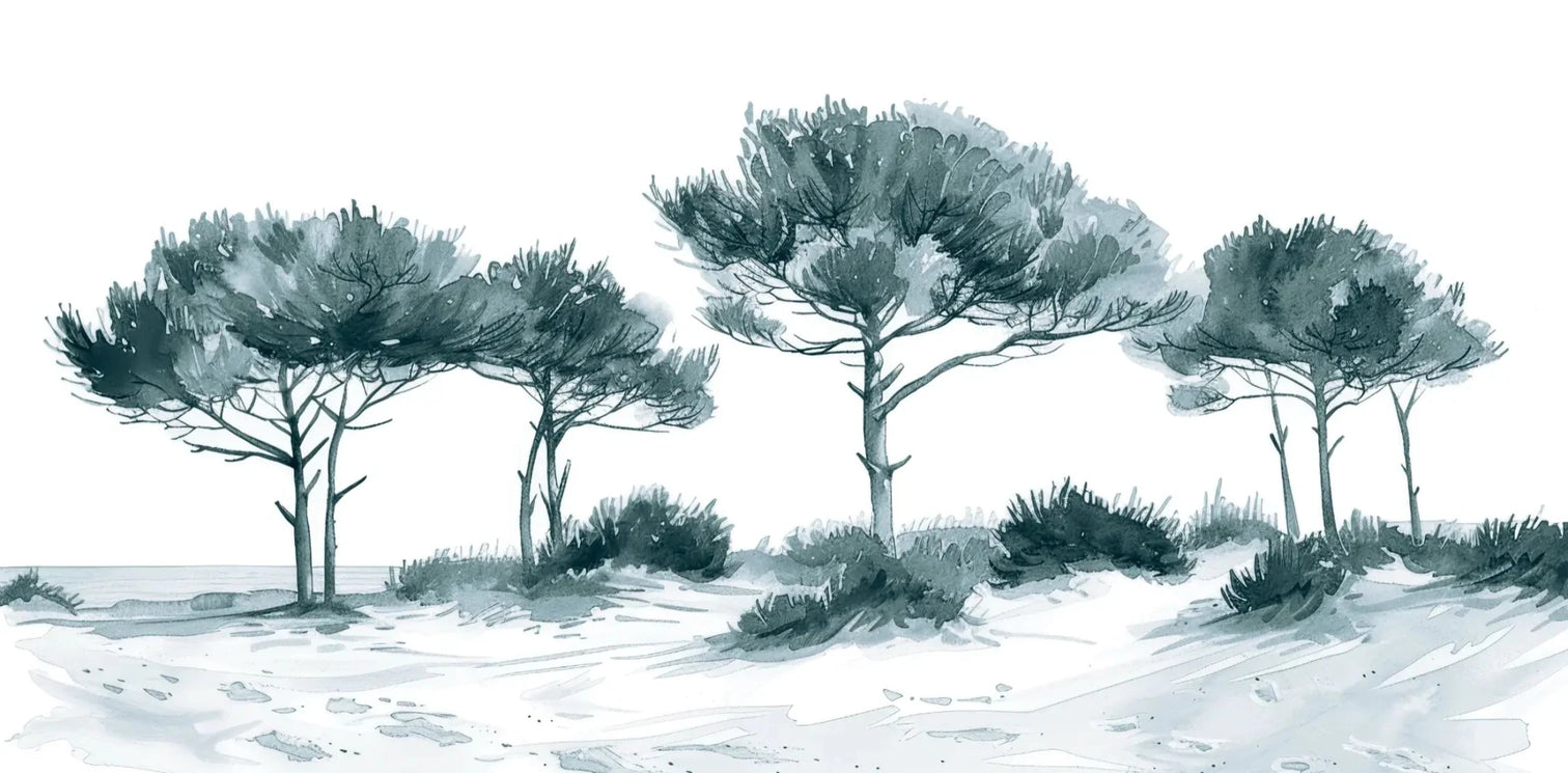 Les Pins de la Plage : Bleu gris - Illulart: Papier peint panoramique