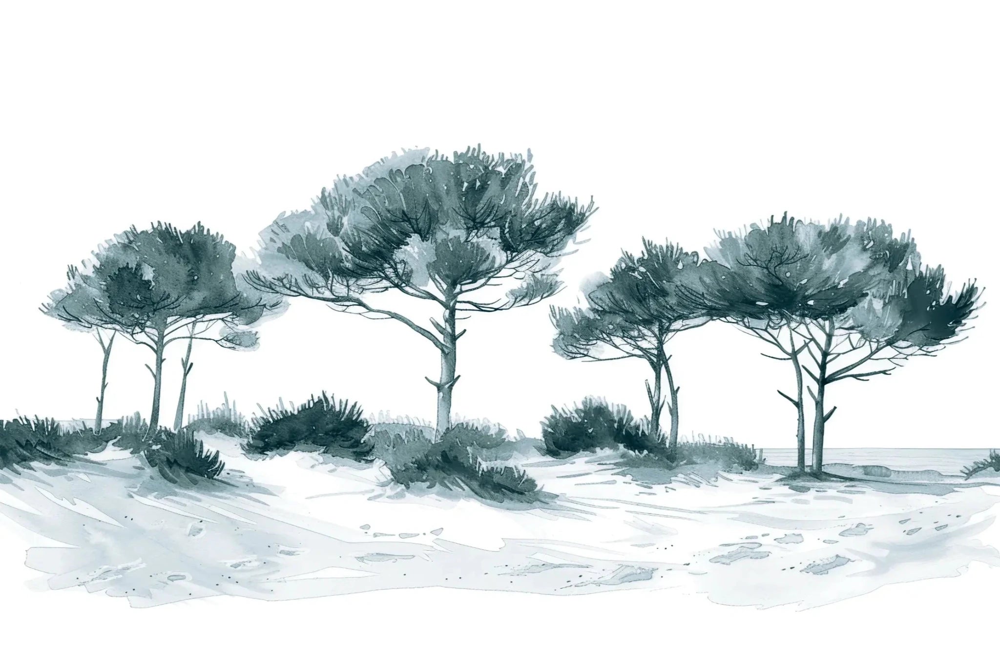 Les Pins de la Plage : Bleu gris