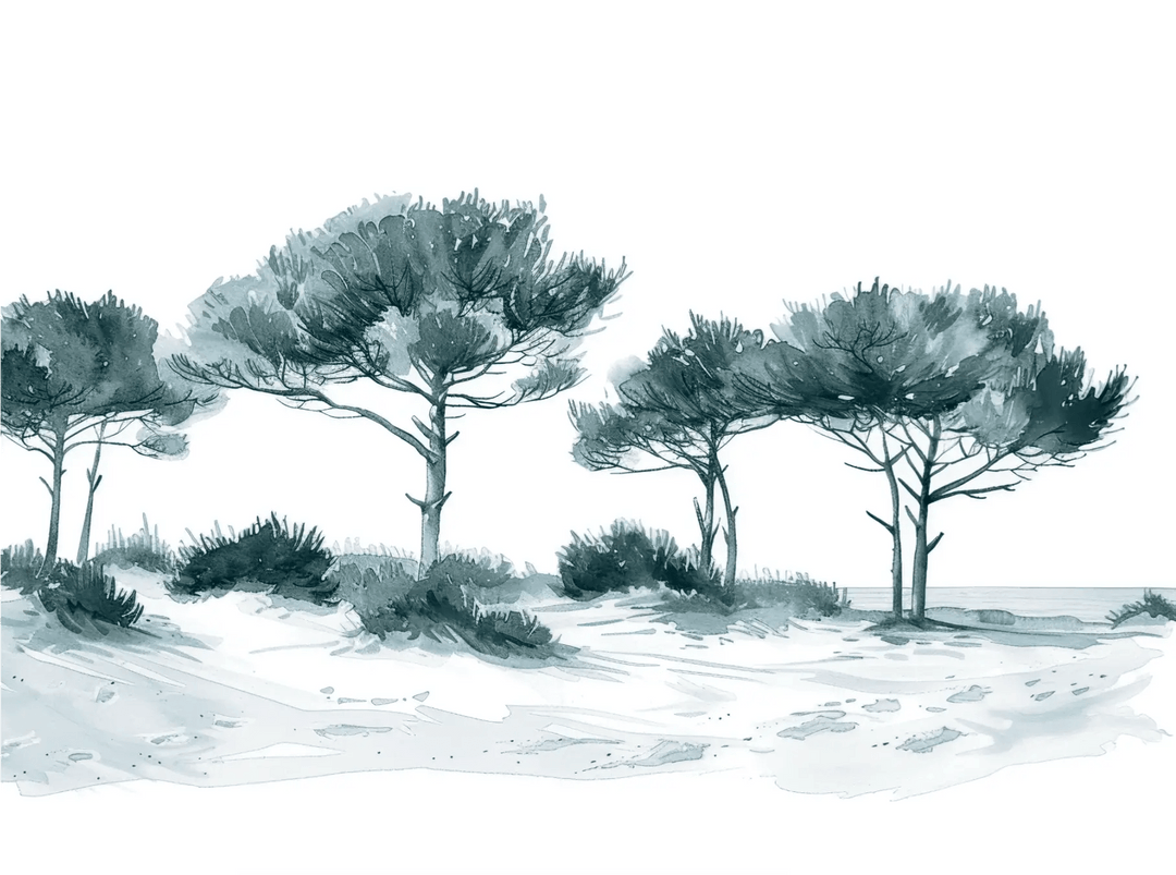 Les Pins de la Plage : Bleu gris - Illulart: Papier peint panoramique