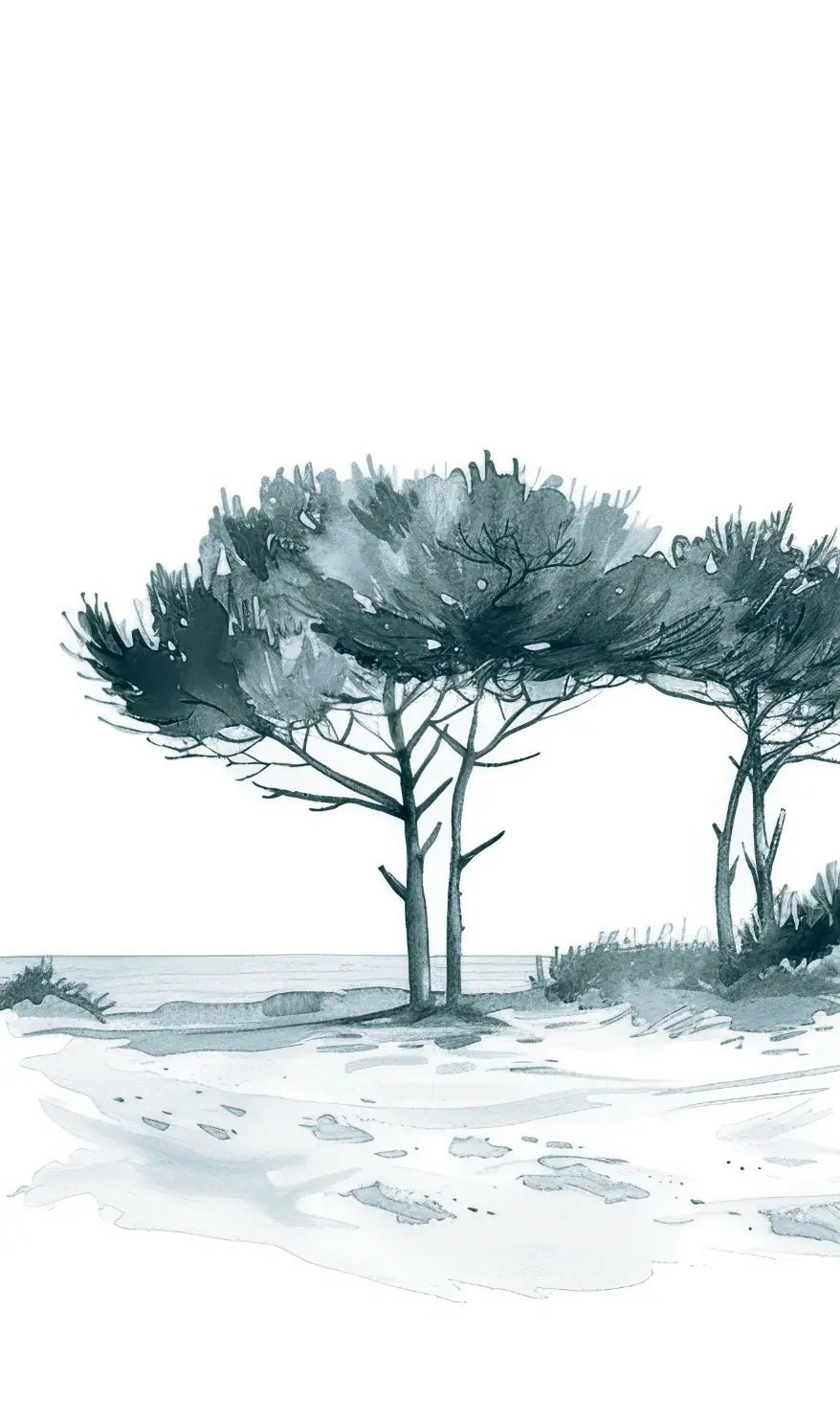 Les Pins de la Plage : Bleu gris - Illulart: Papier peint panoramique