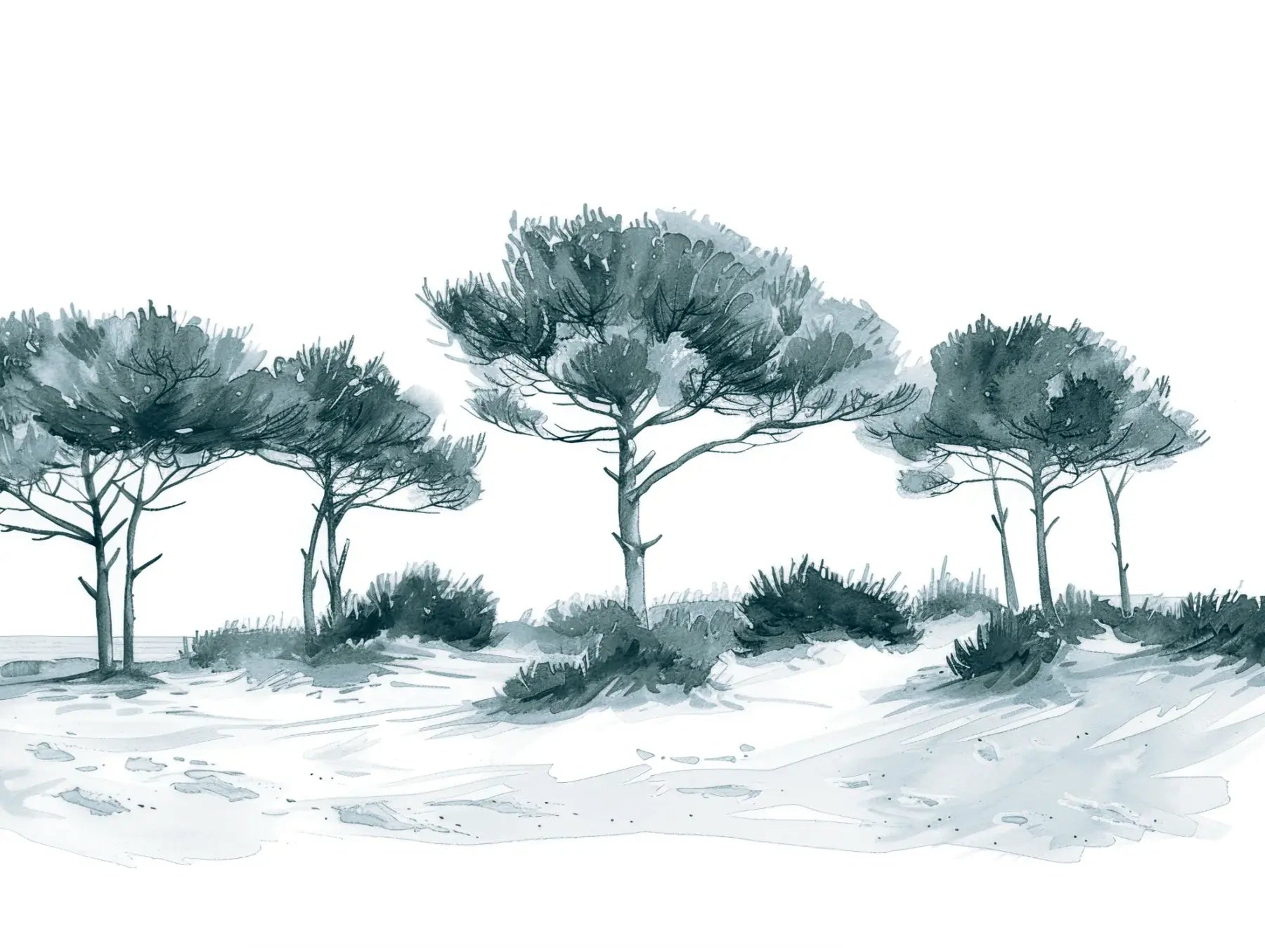 Les Pins de la Plage : Bleu gris - Illulart: Papier peint panoramique