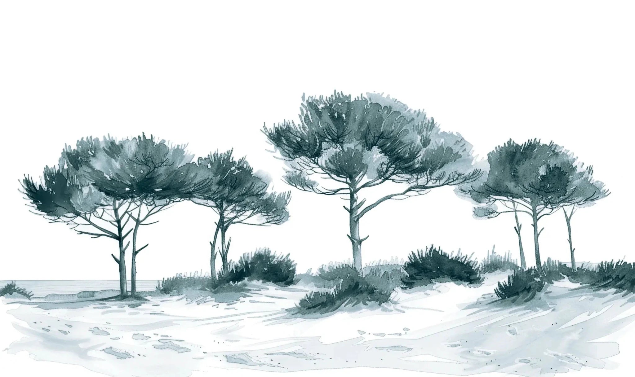 Les Pins de la Plage : Bleu gris
