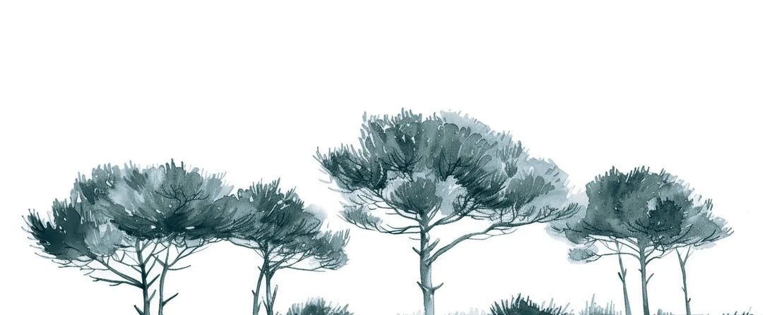 Les Pins de la Plage : Bleu gris - Illulart: Papier peint panoramique