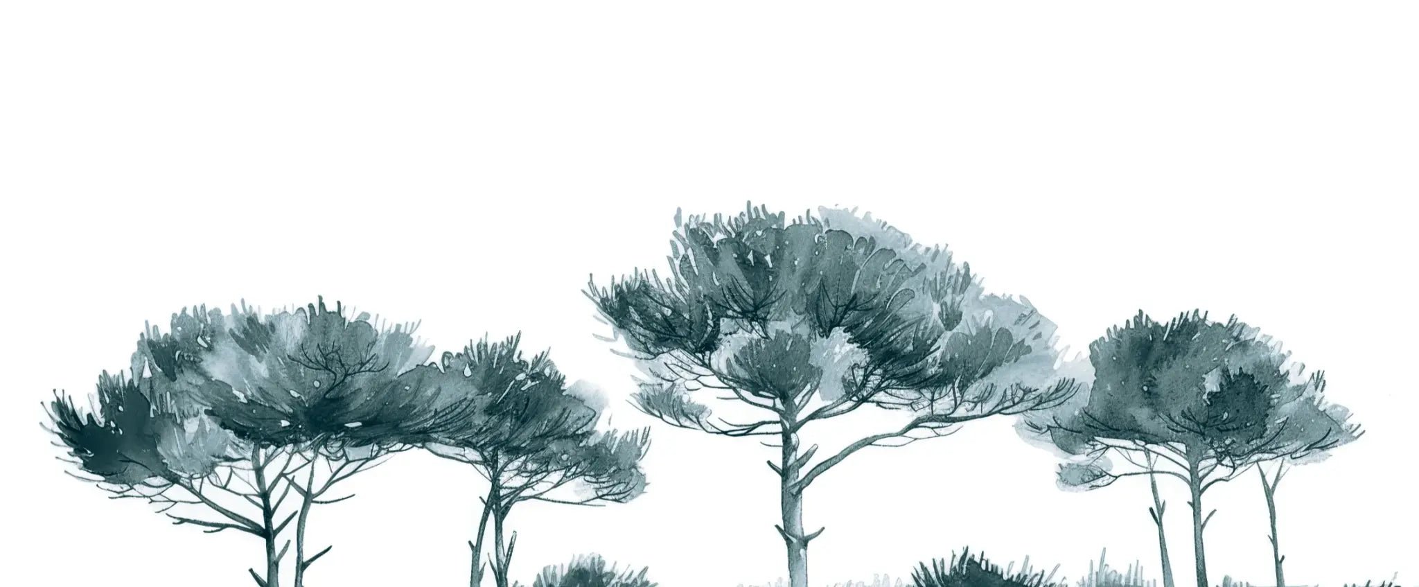 Les Pins de la Plage : Bleu gris - Illulart: Papier peint panoramique