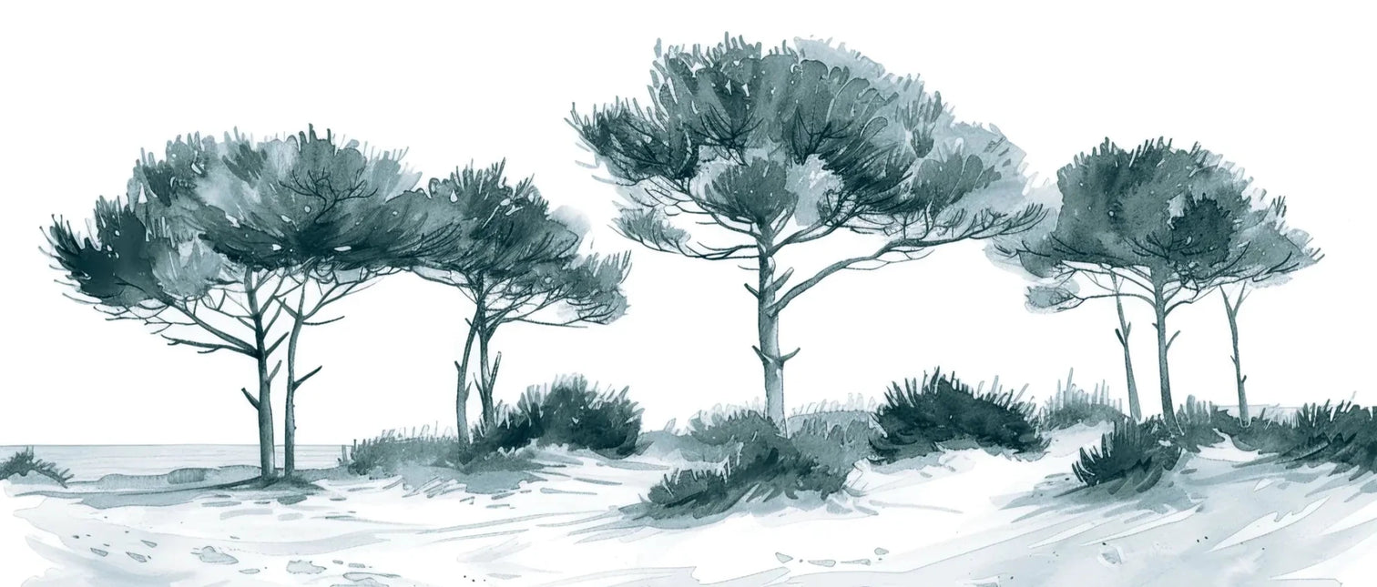 Les Pins de la Plage : Bleu gris - Illulart: Papier peint panoramique