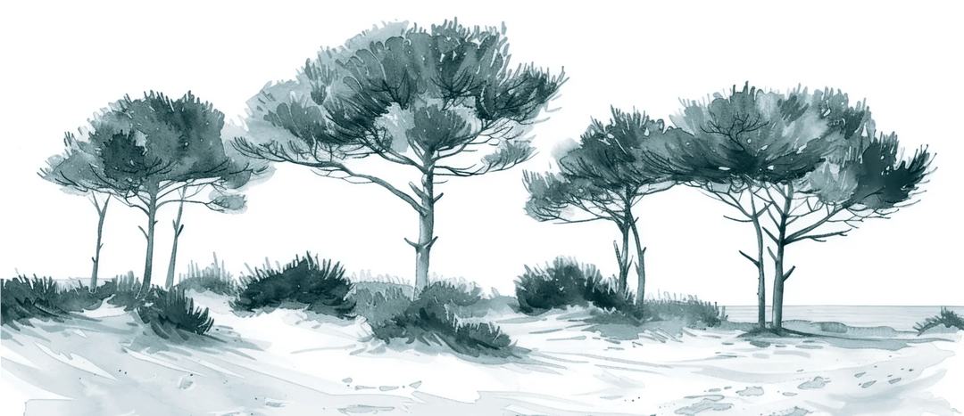 Les Pins de la Plage : Bleu gris - Illulart: Papier peint panoramique