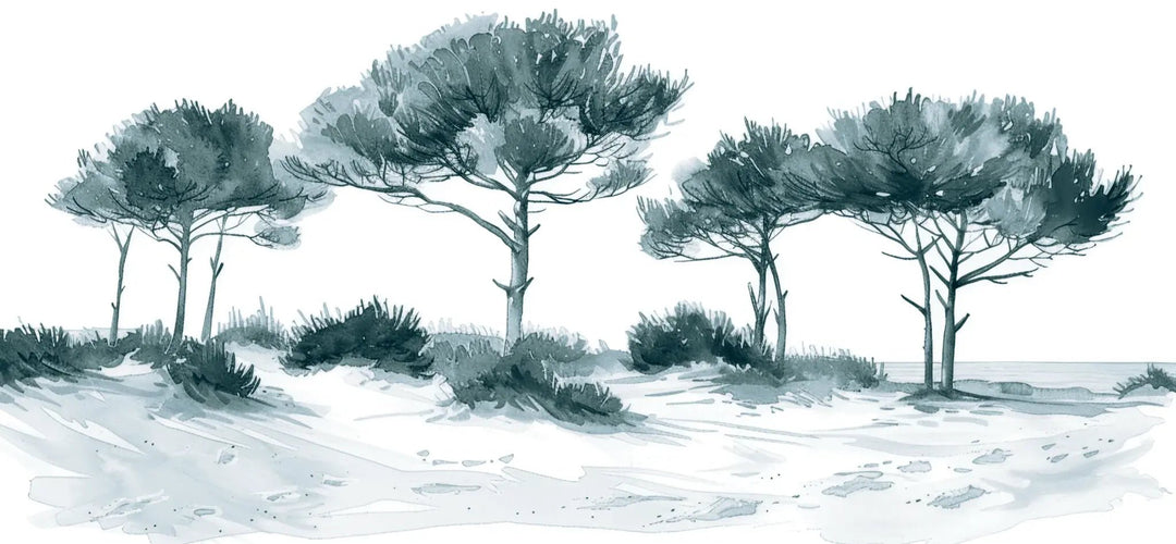 Les Pins de la Plage : Bleu gris - Illulart: Papier peint panoramique