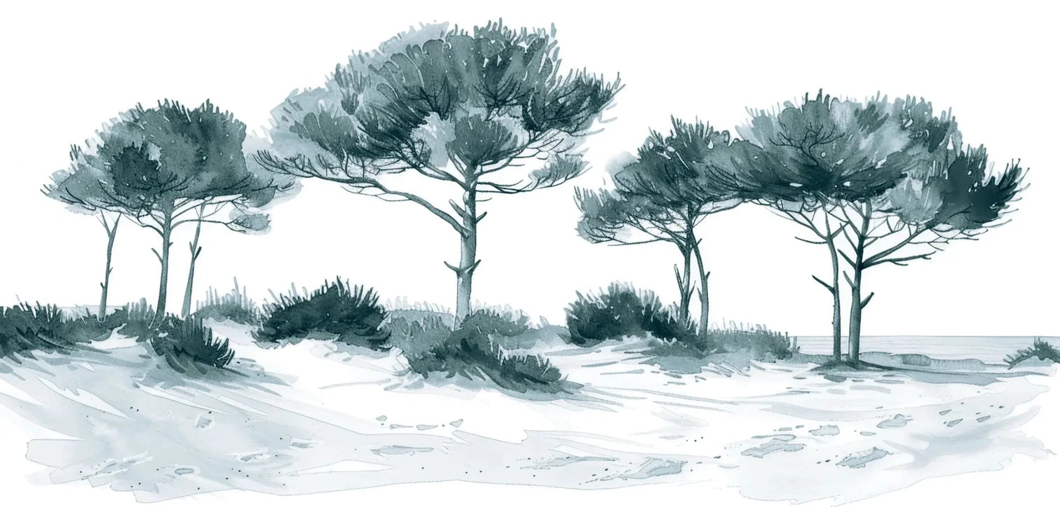 Les Pins de la Plage : Bleu gris - Illulart: Papier peint panoramique
