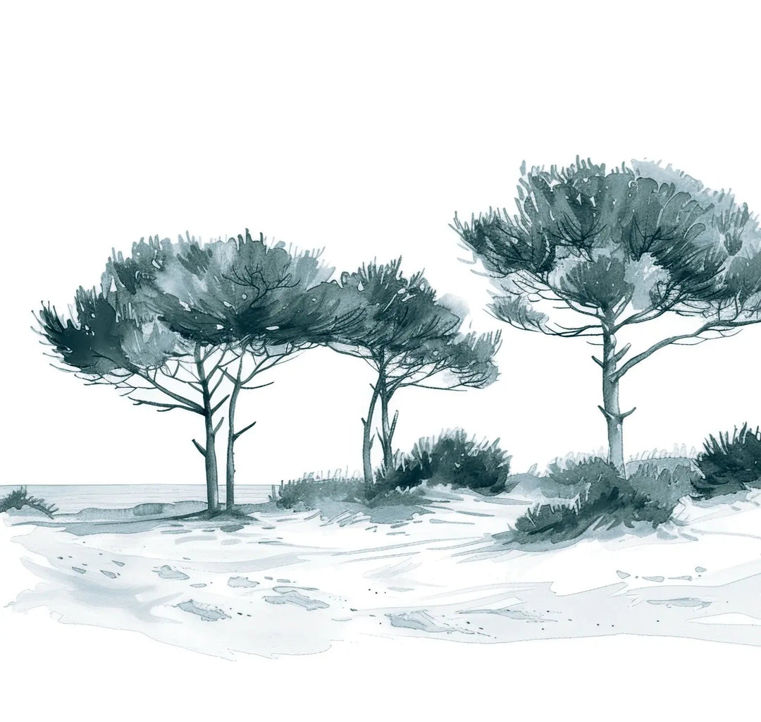 Les Pins de la Plage : Bleu gris - Illulart: Papier peint panoramique