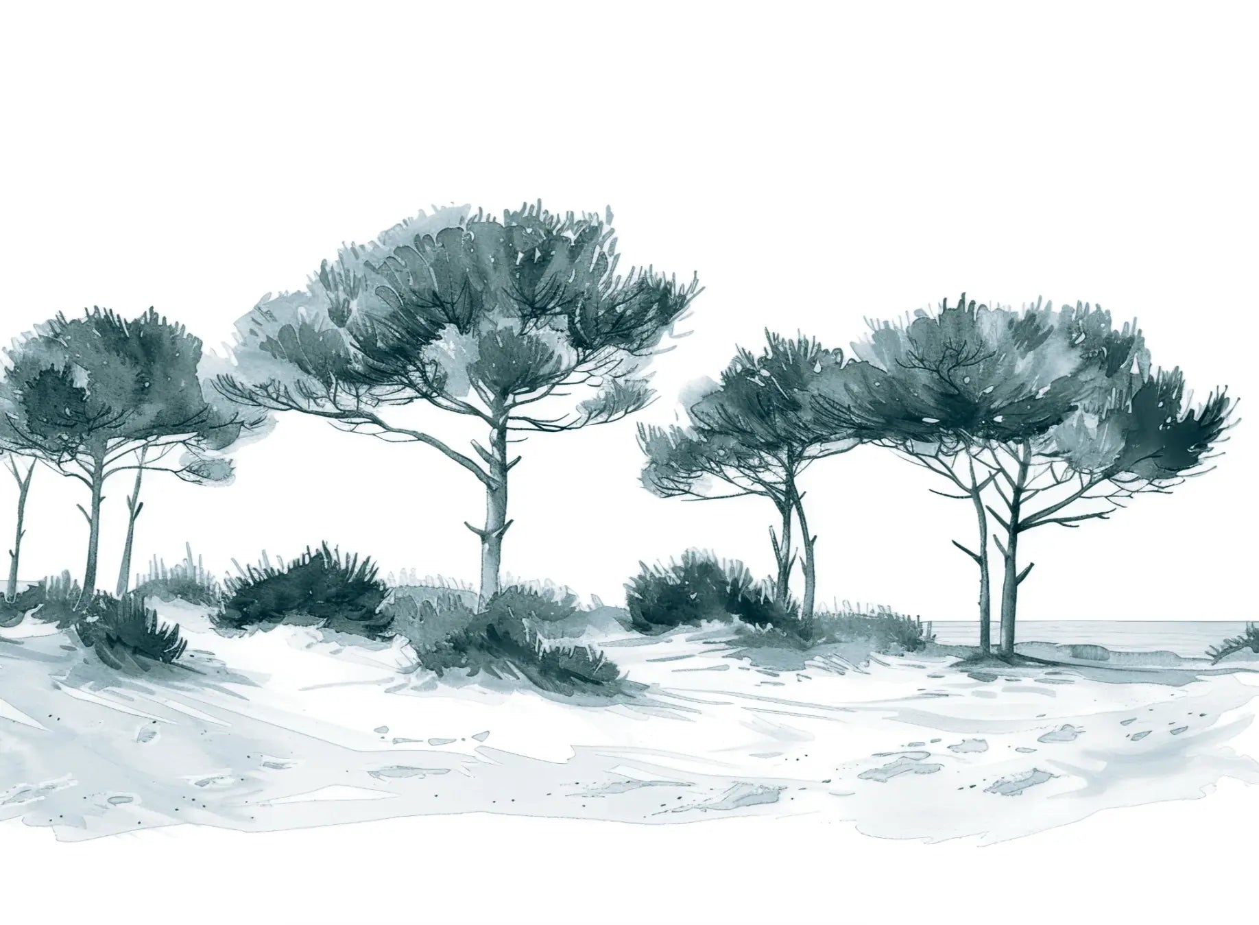 Les Pins de la Plage : Bleu gris - Illulart: Papier peint panoramique