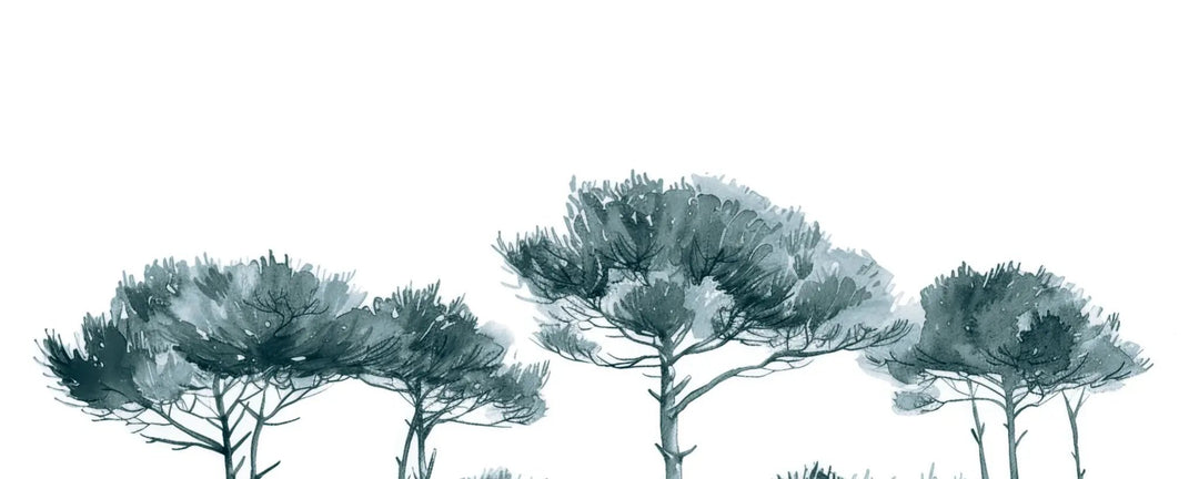 Les Pins de la Plage : Bleu gris - Illulart: Papier peint panoramique