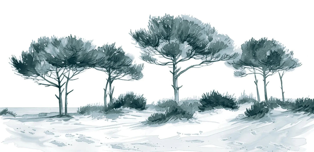 Les Pins de la Plage : Bleu gris - Illulart: Papier peint panoramique