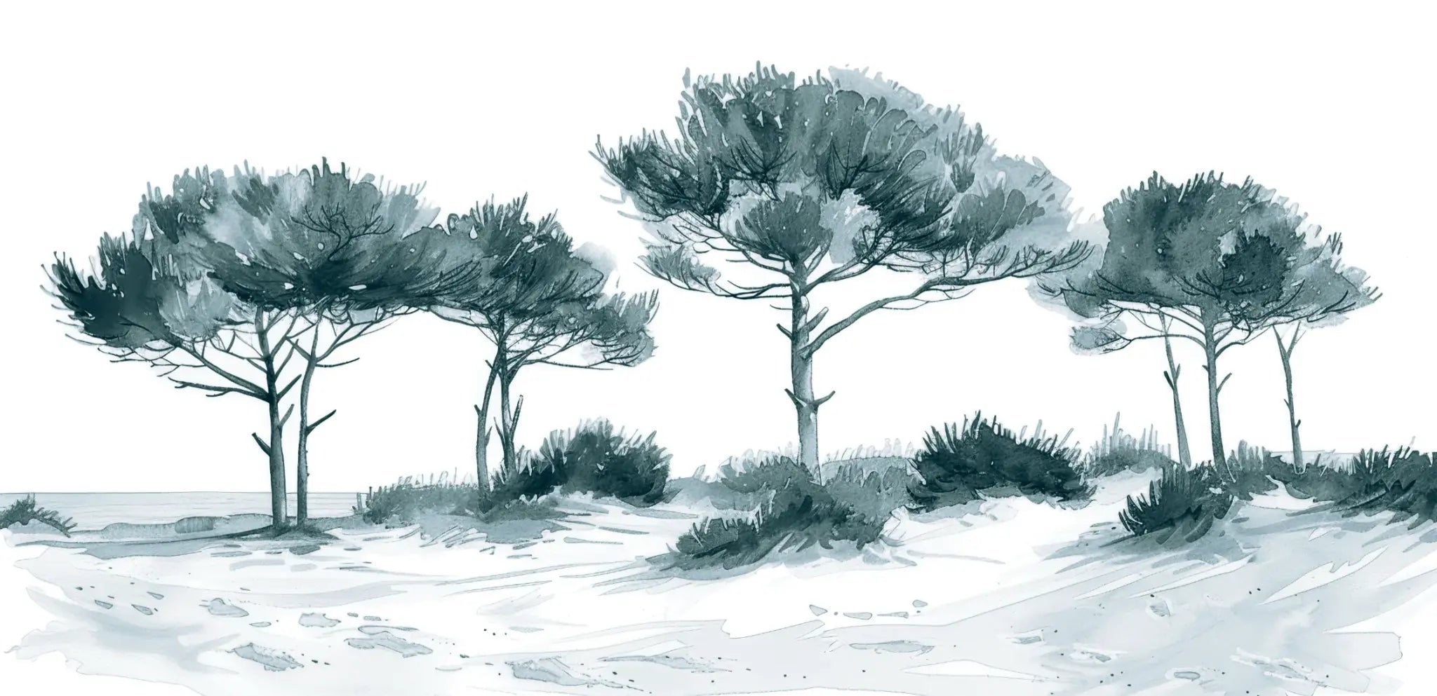 Les Pins de la Plage : Bleu gris - Illulart: Papier peint panoramique