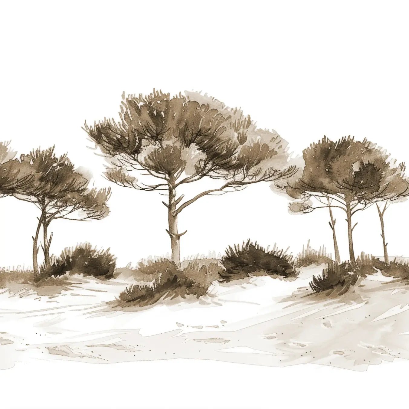 Les Pins de la Plage : Évasion Naturelle Couleur Sépia - Illulart: Papier peint panoramique