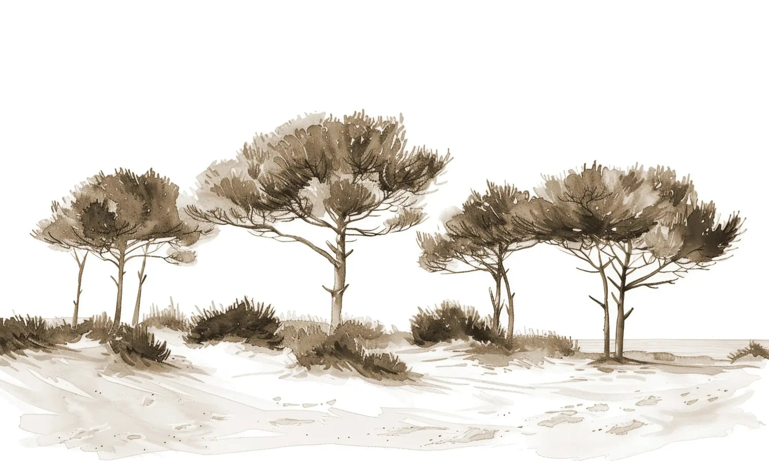 Les Pins de la Plage : Évasion Naturelle Couleur Sépia - Illulart: Papier peint panoramique