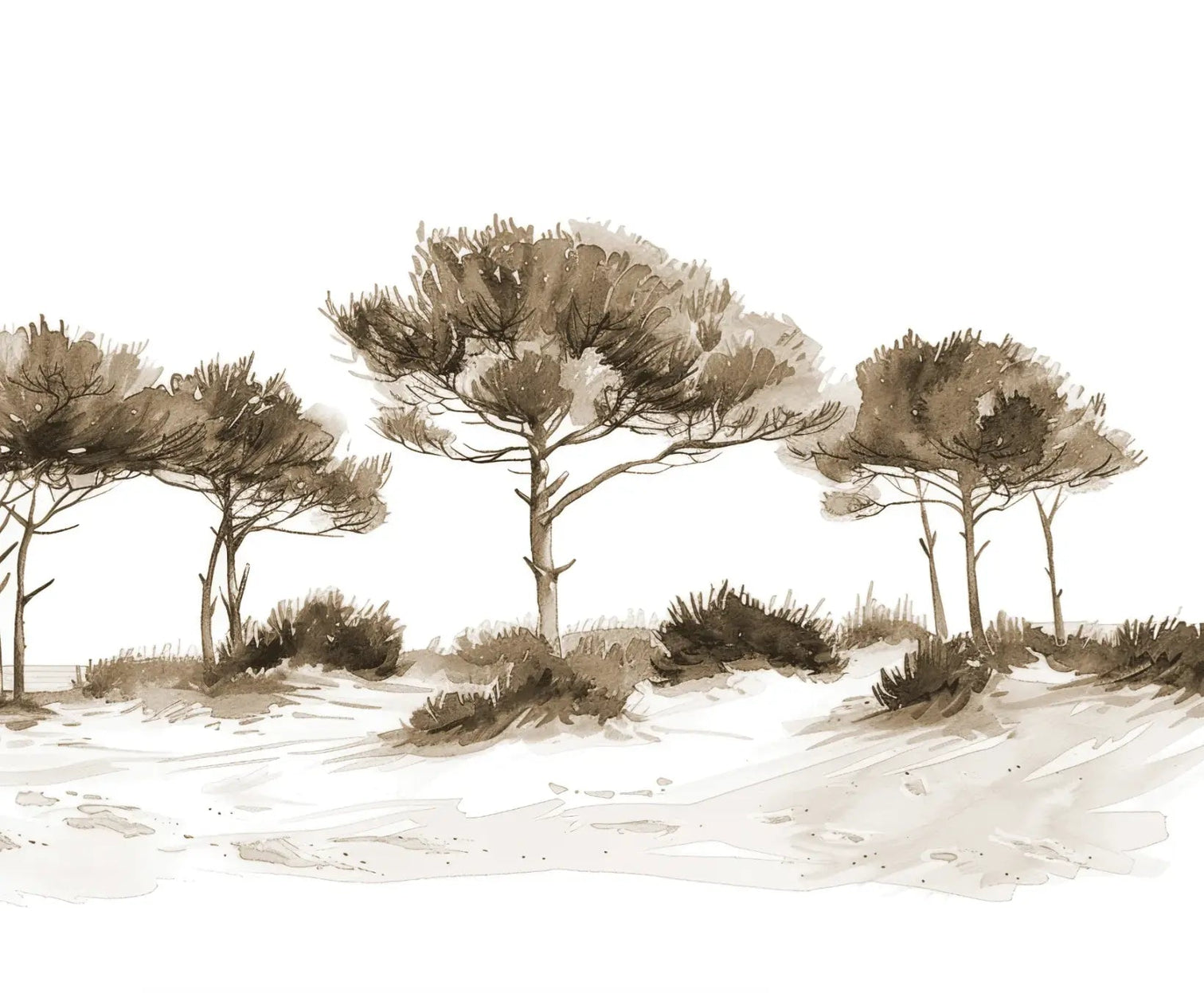 Les Pins de la Plage : Évasion Naturelle Couleur Sépia - Illulart: Papier peint panoramique
