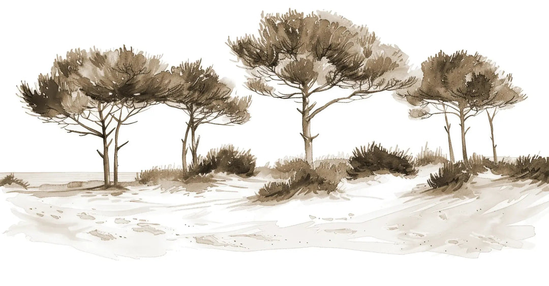 Les Pins de la Plage : Évasion Naturelle Couleur Sépia - Illulart: Papier peint panoramique