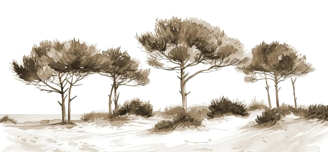 Les Pins de la Plage : Évasion Naturelle Couleur Sépia - Illulart: Papier peint panoramique