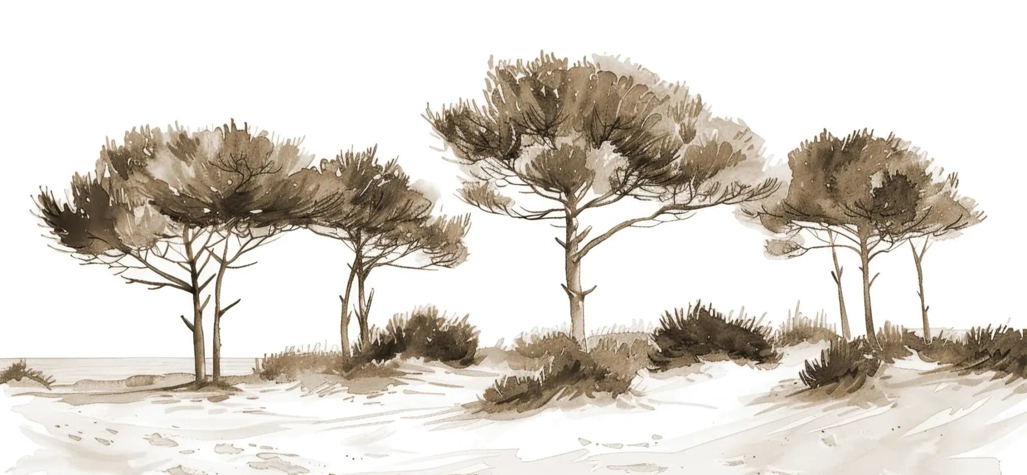 Les Pins de la Plage : Évasion Naturelle Couleur Sépia - Illulart: Papier peint panoramique