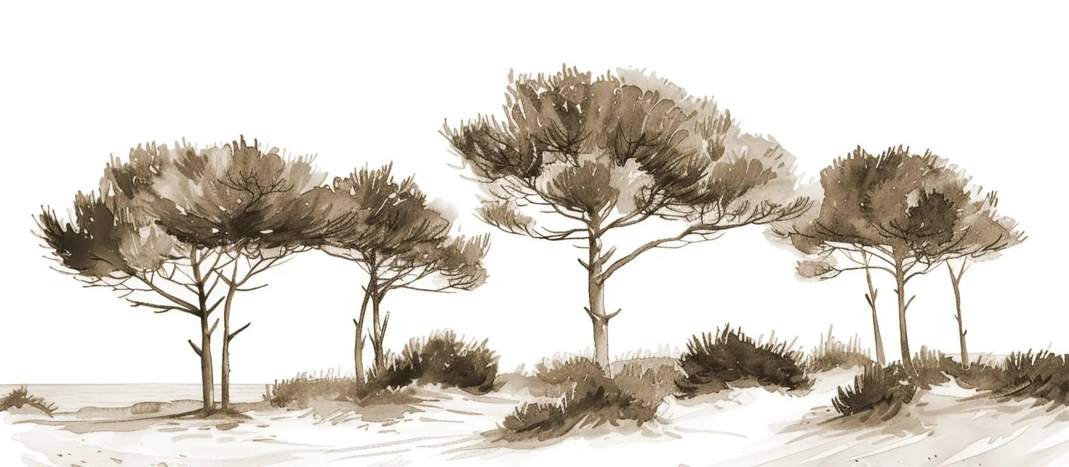 Les Pins de la Plage : Évasion Naturelle Couleur Sépia - Illulart: Papier peint panoramique
