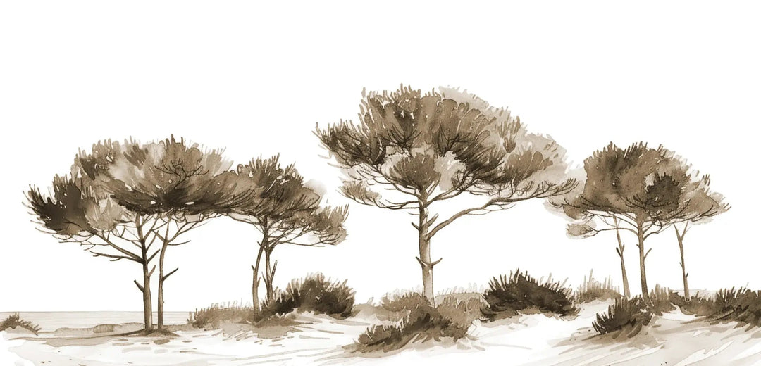 Les Pins de la Plage : Évasion Naturelle Couleur Sépia - Illulart: Papier peint panoramique